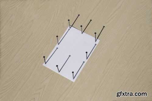 Format Mockup Collections