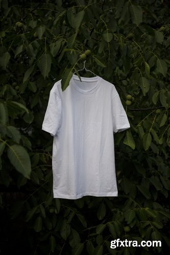 Format Mockup Collections