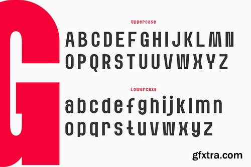 CreativeMarket - Bazig Modern Sans Serif Family - 10 Fonts