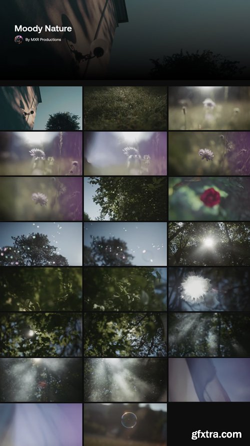 Artlist - Moody Nature - HD Collections