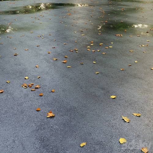 '3dsky Pro - Wet asphalt with leaves. Autumn. Editable'