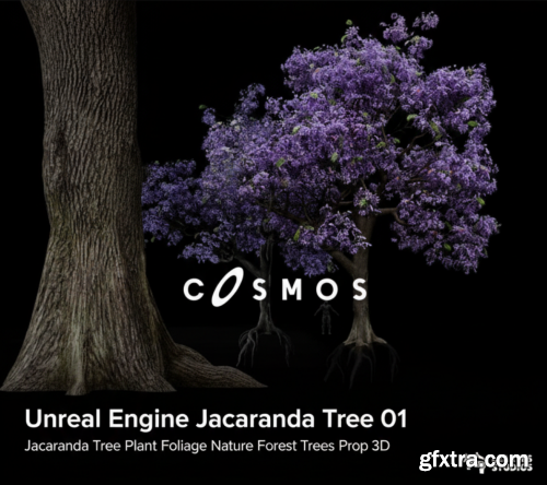 Unreal Engine - Jacaranda Tree 01 (Jacaranda Tree Plant Foliage Nature Forest Trees Prop 3D)