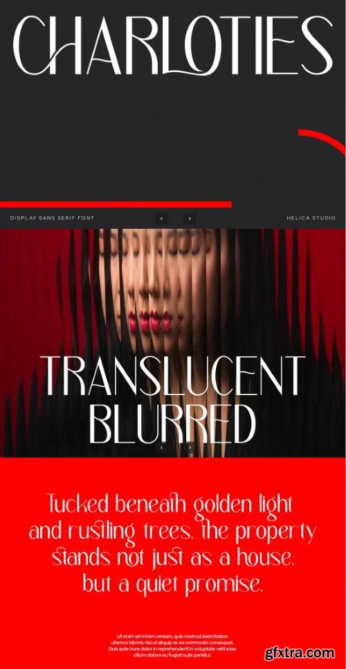 Charloties Sans Serif Font