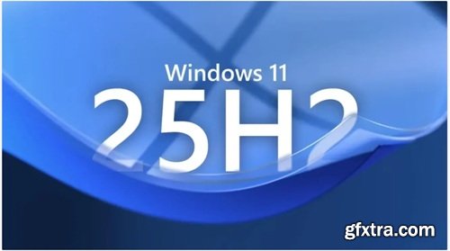 Windows 11 25H2 Build 26200.6899 9in1