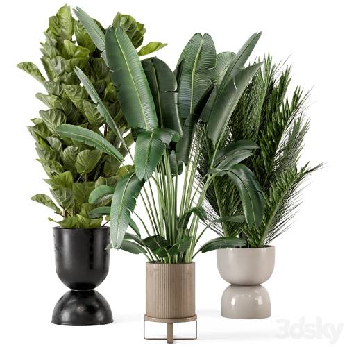 '3dsky Pro - Indoor Plants in Ferm Living Bau Pot Large - Set 273'