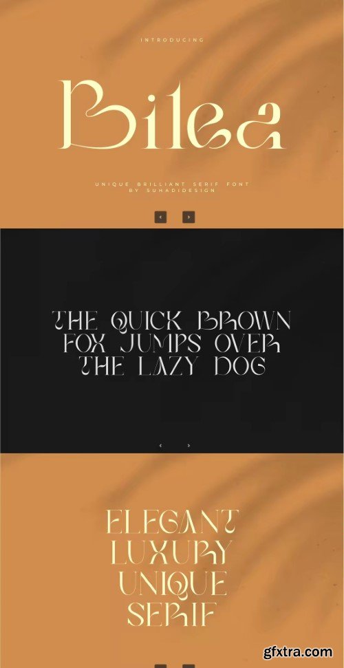 Creativemarket - Bilea - Unique Brilliant Font