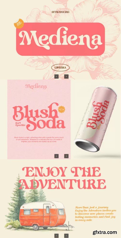 Creativemarket - Mediena - Modern Retro Alternates Serif Font