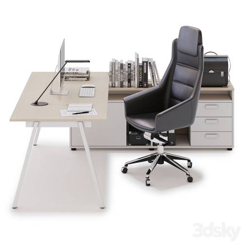 '3dsky Pro - Office workspace LAS 5TH ELEMENT (v15)'