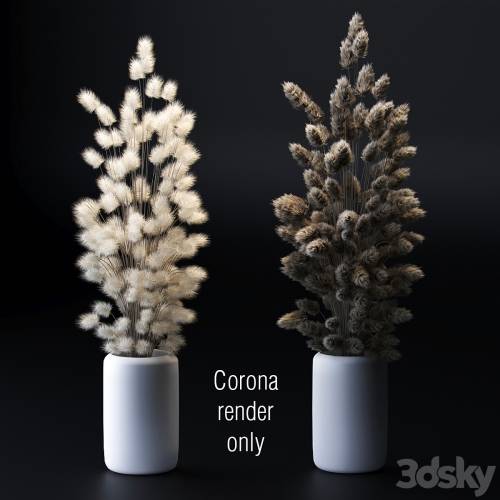 '3dsky Pro - Bouquet of dried flowers. 2 models' '3dsky Pro - Bouquet of dried flowers. 2 models'
