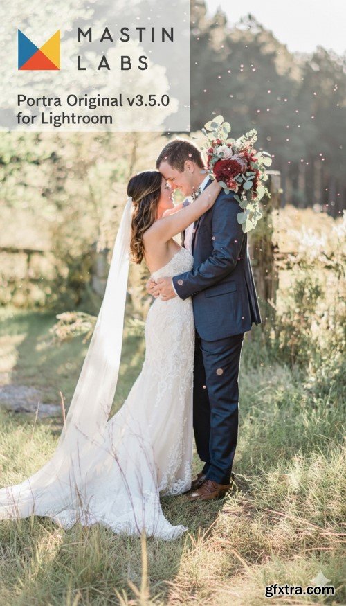 Mastin Labs - Portra Original v3.5.0 for Lightroom