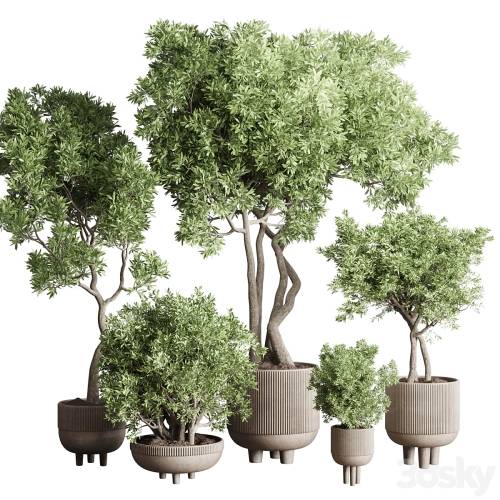 '3dsky Pro - Collection Indoor Outdoor plant 118 vase concrete pot tree corona'
