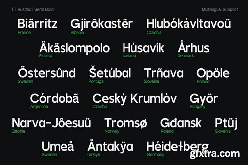 CreativeMarket - TT Rustic Grotesque Sans - 8 Fonts