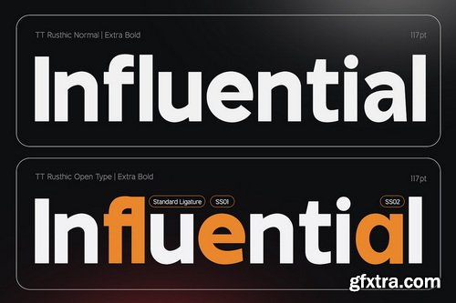 CreativeMarket - TT Rustic Grotesque Sans - 8 Fonts