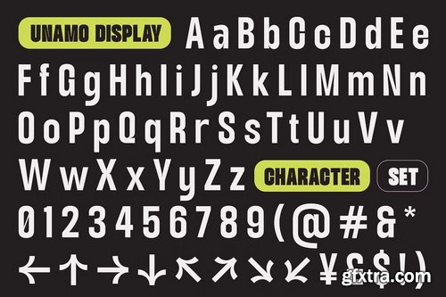 CreativeMarket - TT Unamo Sans Display Condensed - 8 Fonts