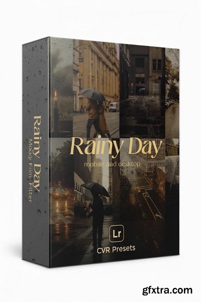 Rainy Day Lightroom Presets: Moody Film Filter