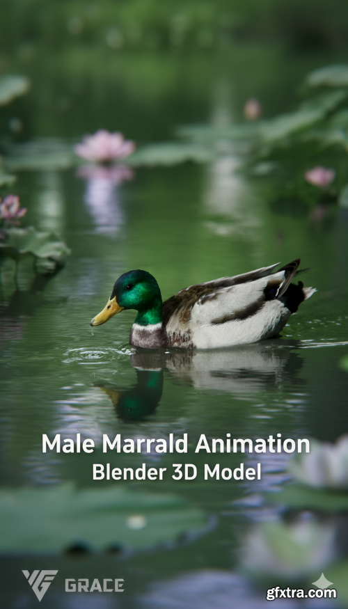 VFX Grace - Male Mallard Animation | Blender 3D Model