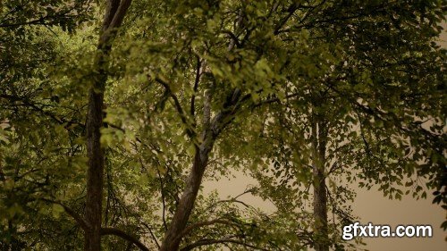 Unreal Engine - Foliage VOL.28 – Ash Trees