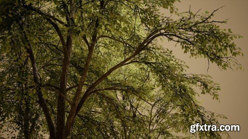 Unreal Engine - Foliage VOL.28 – Ash Trees