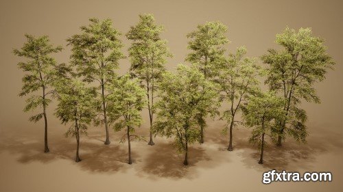 Unreal Engine - Foliage VOL.28 – Ash Trees