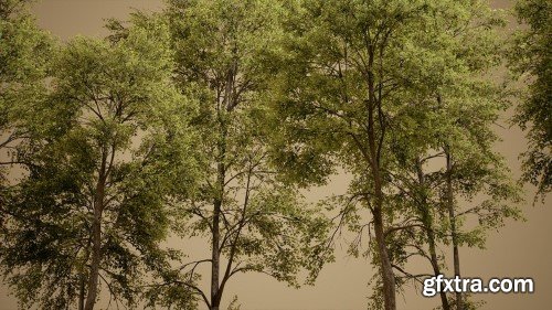 Unreal Engine - Foliage VOL.28 – Ash Trees