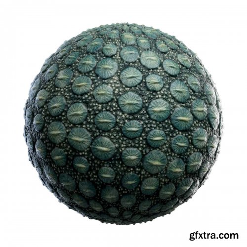 CGAxis - Physical 5 Animals PBR Textures