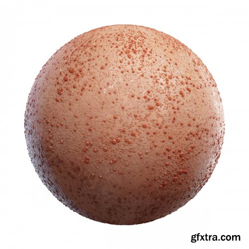 CGAxis - Physical 5 Animals PBR Textures