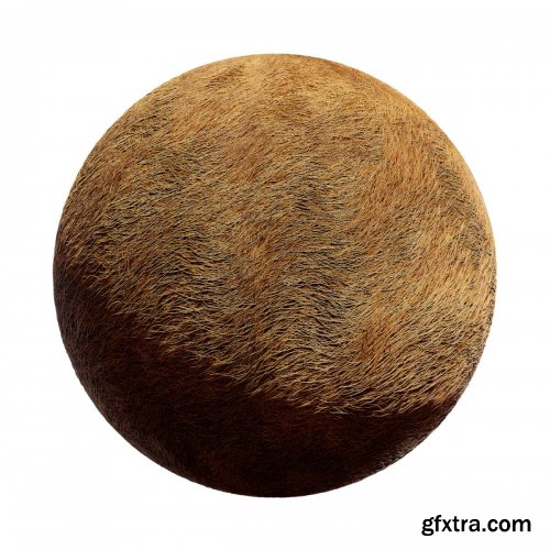 CGAxis - Physical 5 Animals PBR Textures