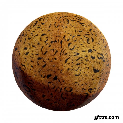 CGAxis - Physical 5 Animals PBR Textures