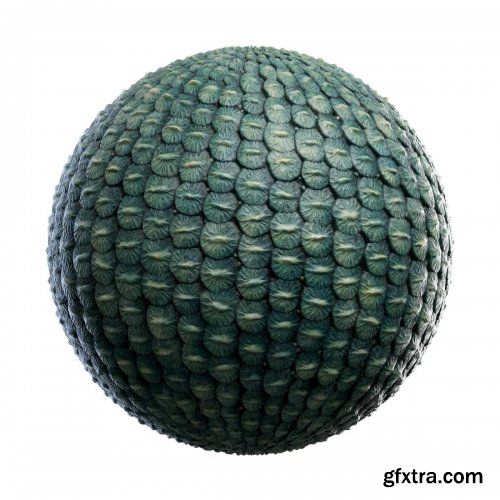 CGAxis - Physical 5 Animals PBR Textures