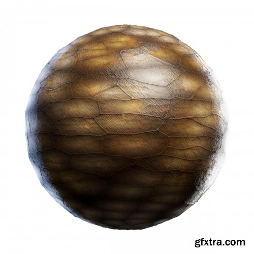 CGAxis - Physical 5 Animals PBR Textures