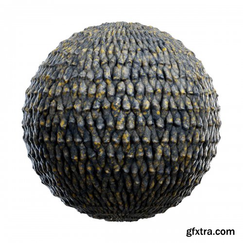 CGAxis - Physical 5 Animals PBR Textures