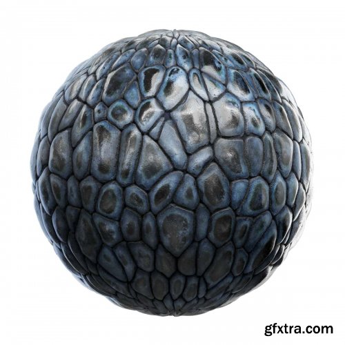 CGAxis - Physical 5 Animals PBR Textures