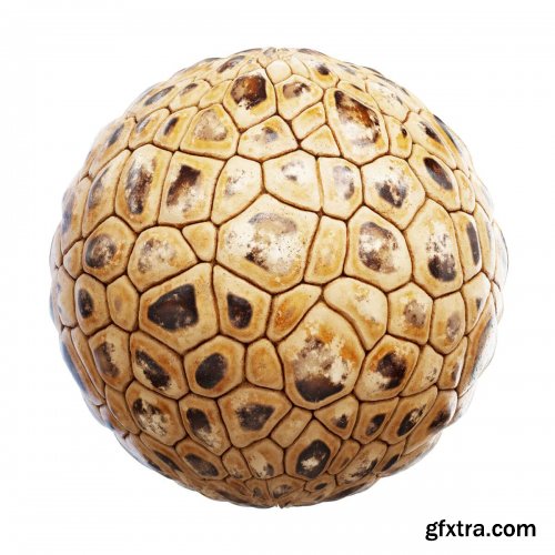 CGAxis - Physical 5 Animals PBR Textures