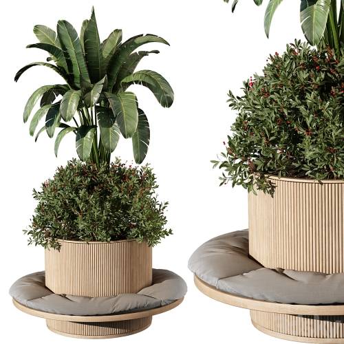 '3dsky Pro - indoor Plant 249'