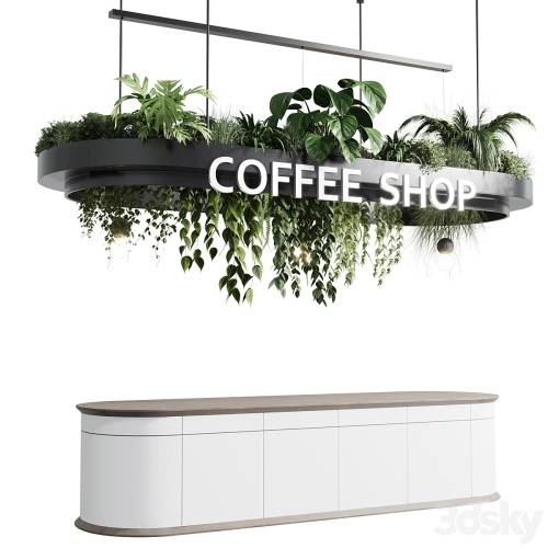 '3dsky Pro - Coffee shop reception, Restaurant counter by hanging plant - 01'
