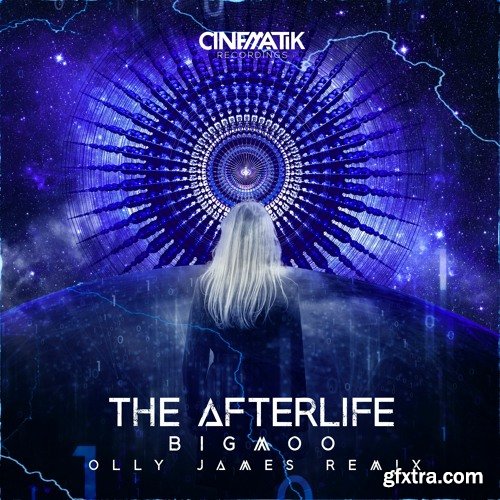 Olly James Signature Sounds Vol 25 The Afterlife Remix