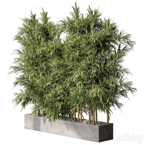 '3dsky Pro - Bamboo Plants - Outdoor Plants 469'