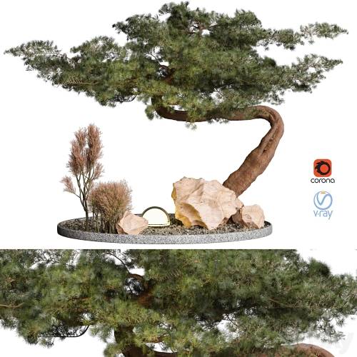 '3dsky Pro - Outdoor Plant 69'