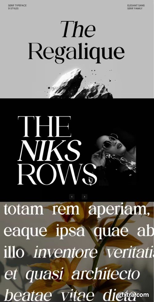 Creativemarket - The Regalique Elegant Serif Font Family