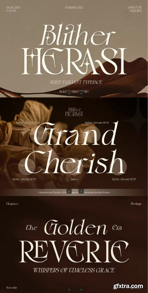 Creativemarket - Blither Herasi - Elegant Serif