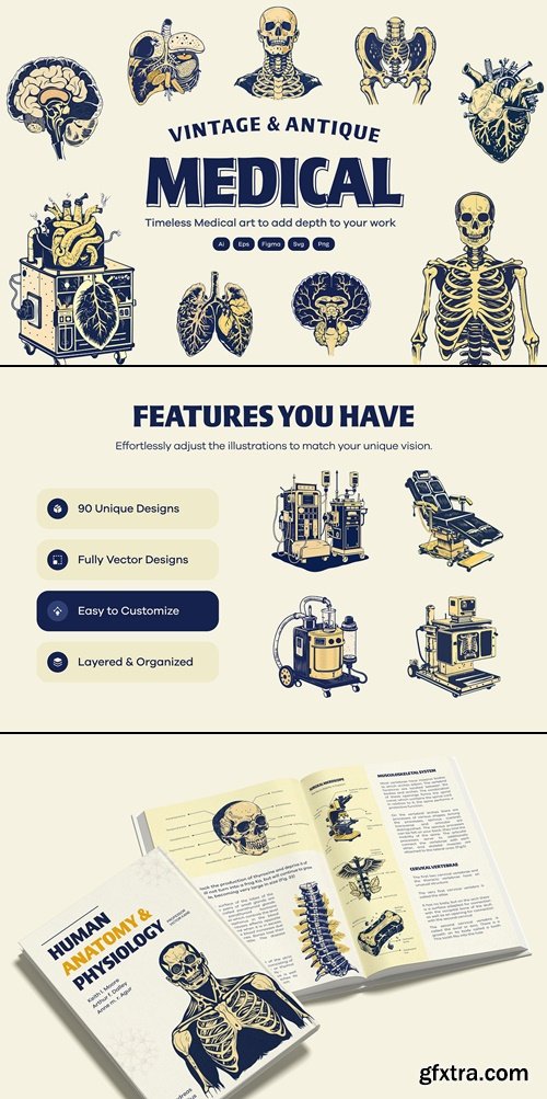 CreativeMarket - Vintage Medical illustrations 290876209