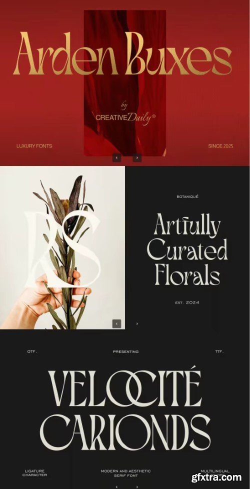 Arden Buxes - Clean Minimal