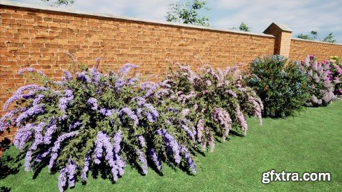 Unreal Engine - Flowering Shrub Collection