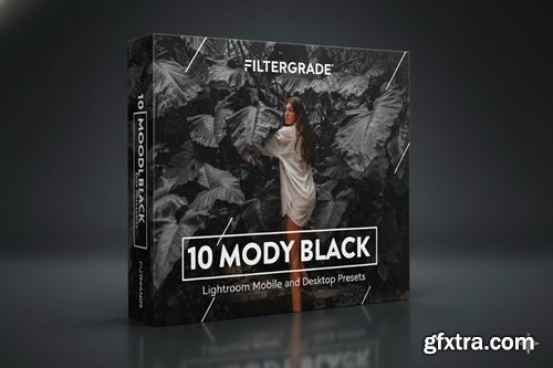 FilterGrade - 10 Moody Black Lightroom Preset