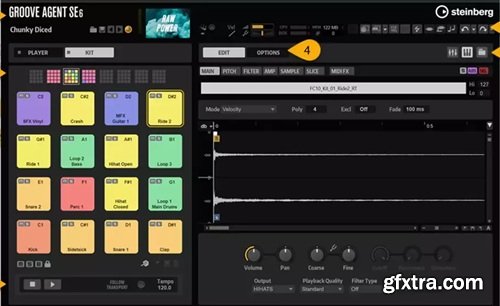 Steinberg Groove Agent SE 6 Content v2025.11
