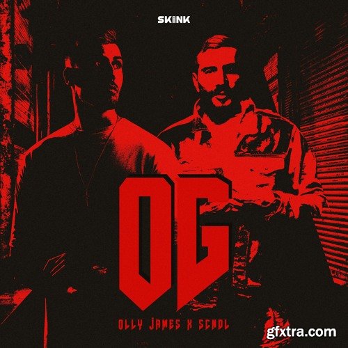 Olly James Signature Sounds Vol 31 OG