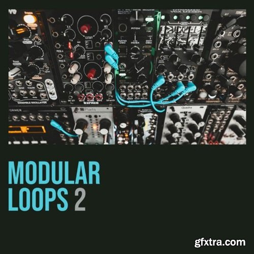 Shed Skin Records Modular Loops 2