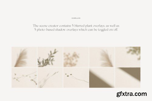 October November Mockups