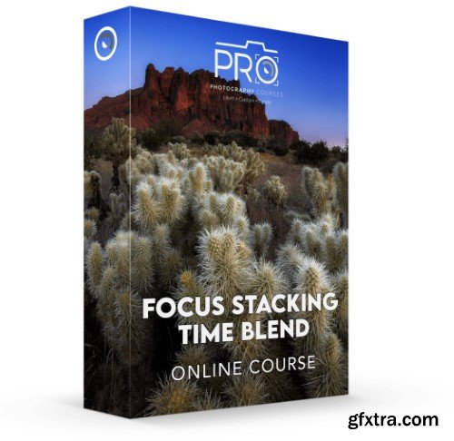 Pro Photo Courses - Focus Stacking Time Blend