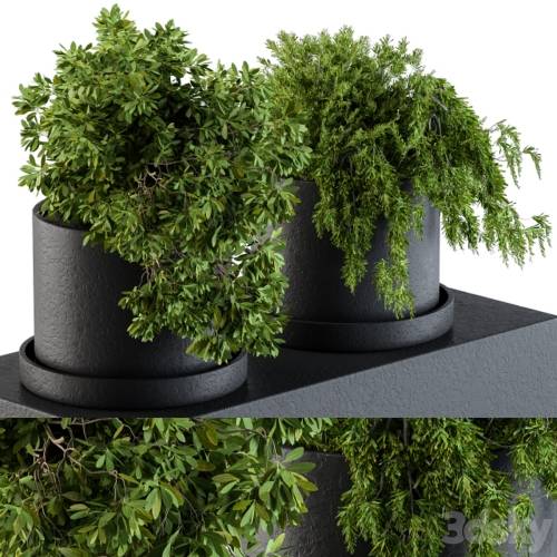 '3dsky Pro - Plants set 47'